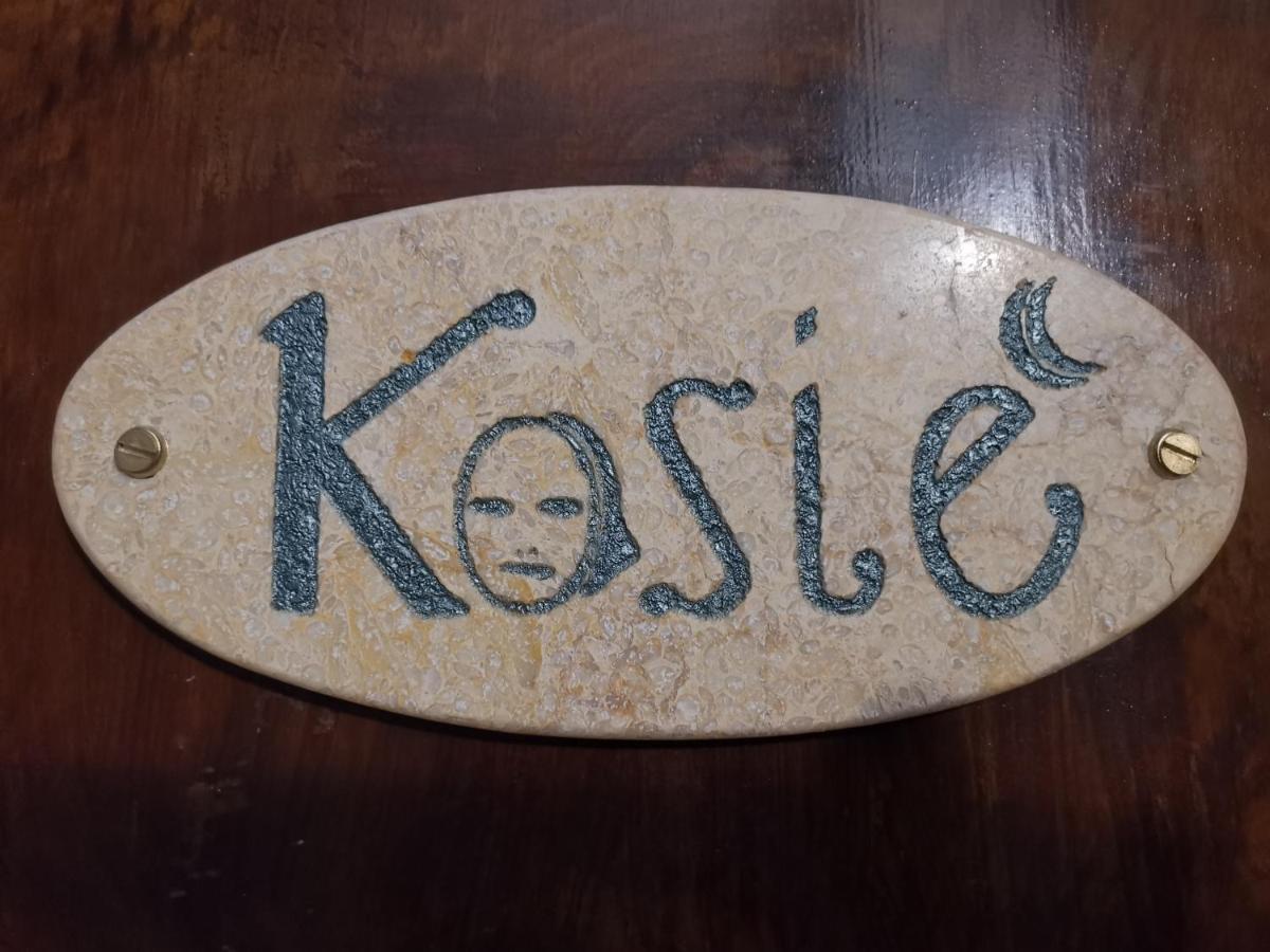 Kosie - Il Comfort Di Stile Con 2 Bagni Hotel Palermo Kültér fotó